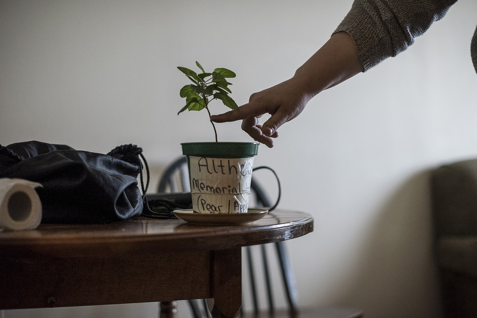 Prison background imagery